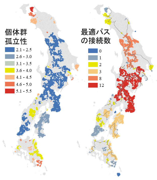 図．ニホンザル個体群のつながりの強度と、個体群間を効率的に連結させるための最適なネットワーク
の画像