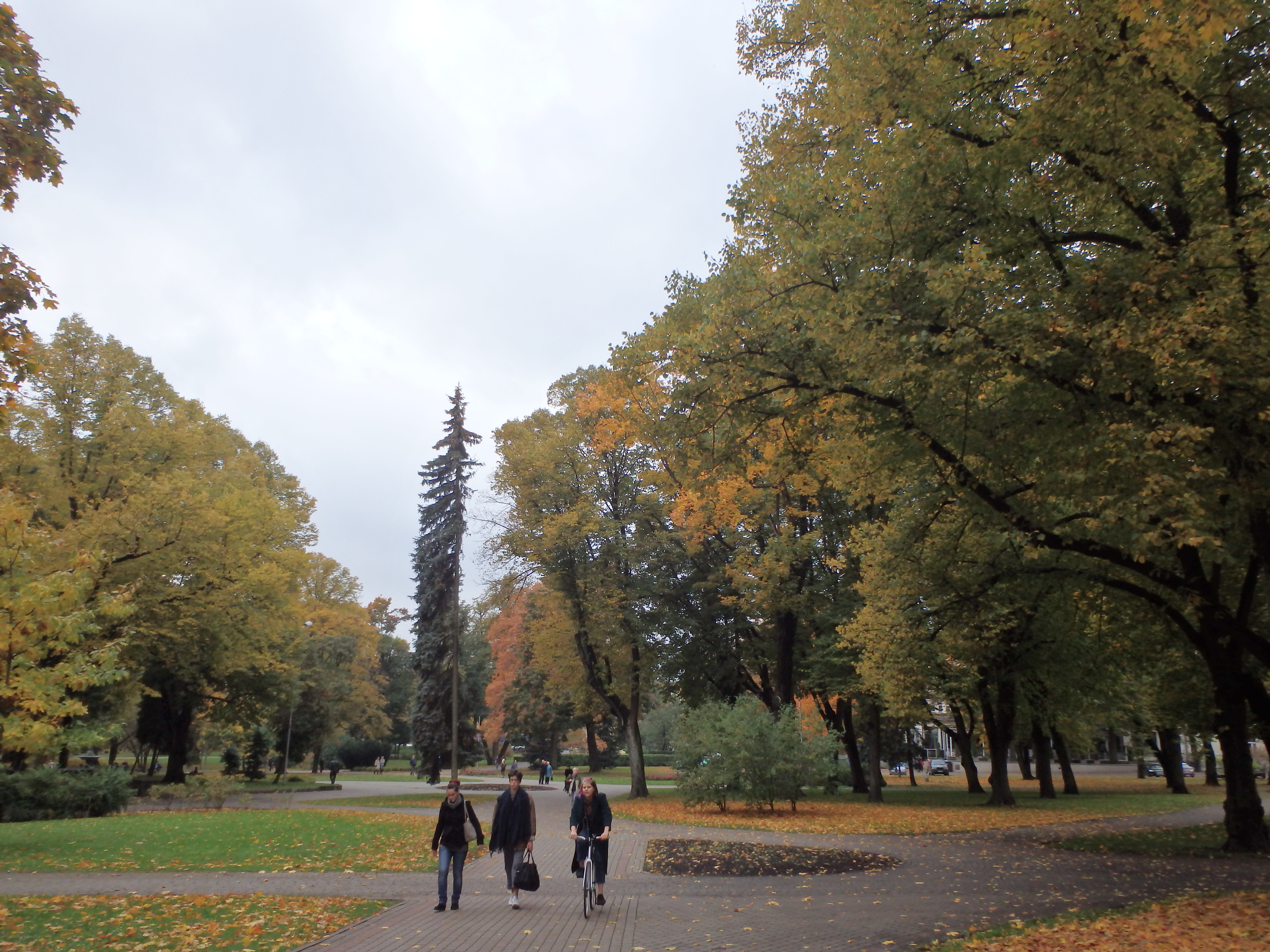 大学本部裏手のヴェールマ庭園。正面に大学本部がある。の画像