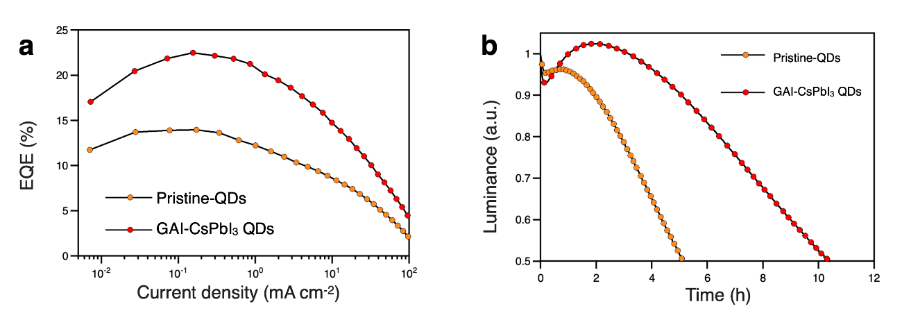 図3. CsPbI3 QD-LEDのデバイス特性：a電流密度-外部量子効率特性、b 定電流密度測定 (5.0 mA cm-2) によるデバイス耐久寿命測定の画像
