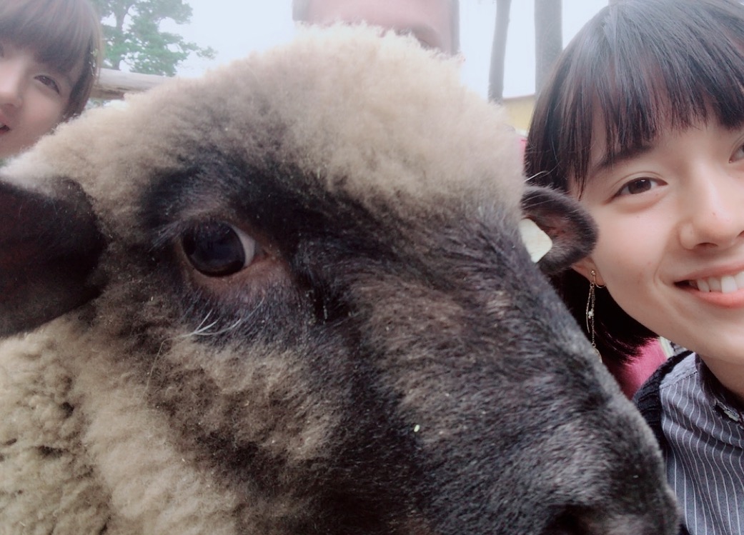 ラトビアの動物園の画像