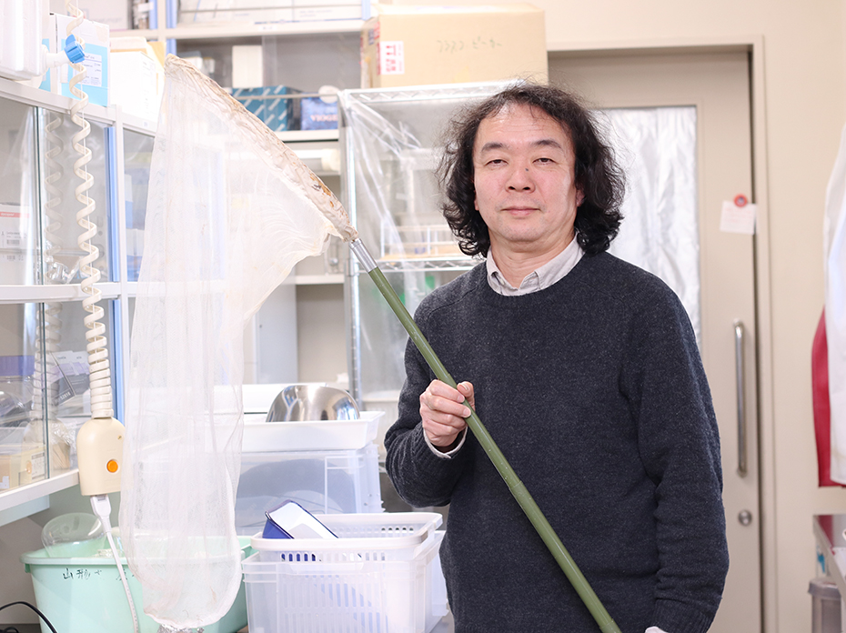市民の協力により集められた写真で、 ハチと植物を保全する研究が前進。