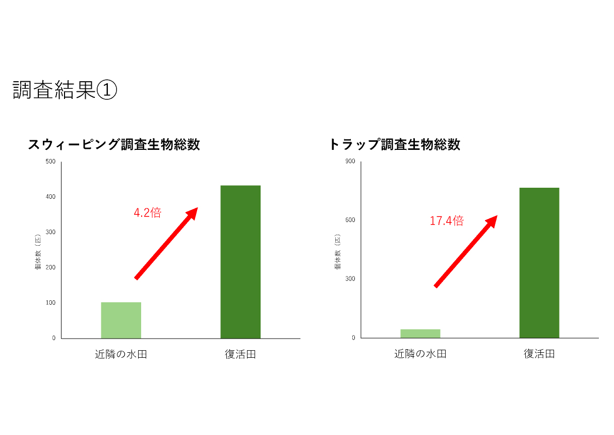 復活田の生物多様性の調査結果