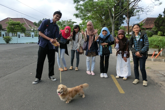 犬の散歩中の日本語クラスの学生。女子は遠巻きに眺めるだけだった。の画像