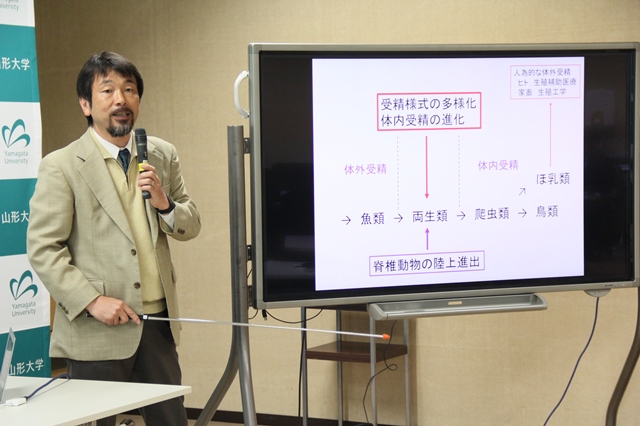 新規精子運動調節たんぱく質の発見について説明する渡邉明彦教授の画像