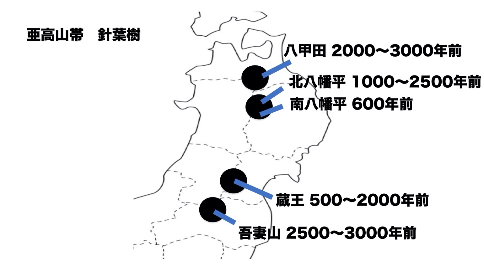 図１　針葉樹の分布が拡大し始めた時期（＊３、＊４、＊５）の画像