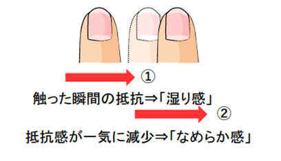 「しっとり感」の喚起メカニズム.の画像