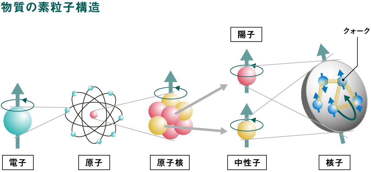 The Structure of elementary particles that make up matter