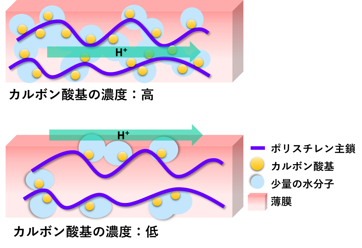 図２　高分子薄膜における水素イオンが輸送されるイメージ。内部輸送（上）と界面輸送（下）の画像