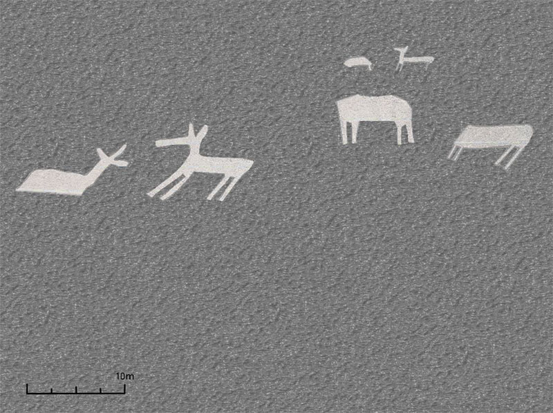 動物の地上絵（第1グループの一部）の画像