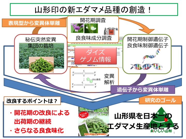 本研究の概要図の画像