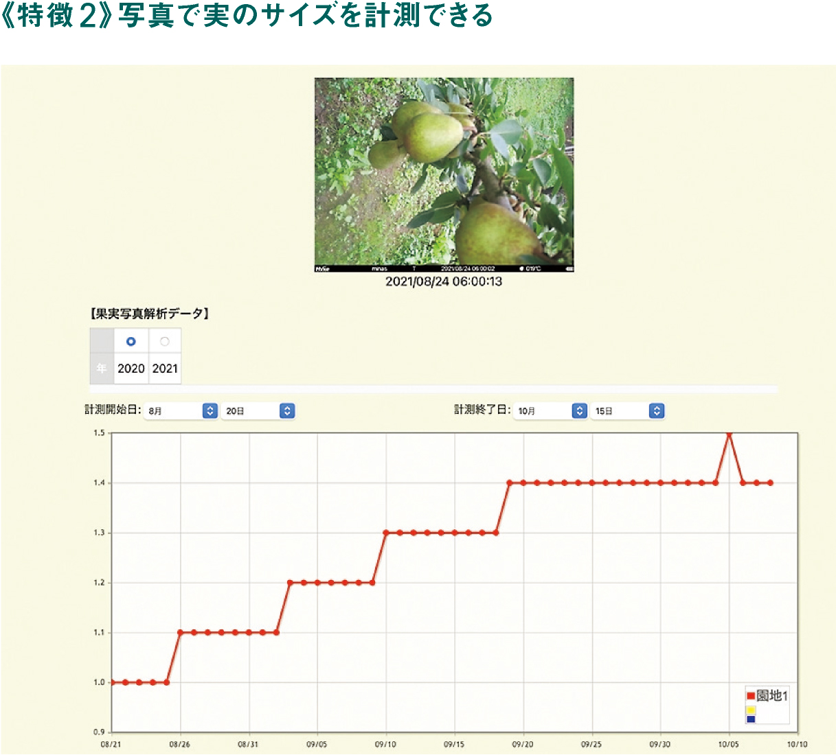 《特徴2》写真で実のサイズを計測できる