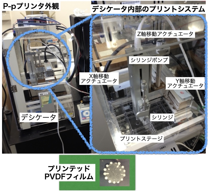 圧電高分子材料のプリントシステムの画像