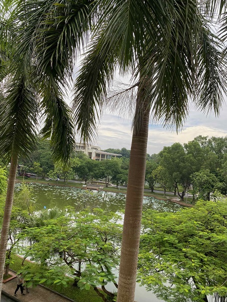 ベトナム国家農業大学の風景の画像