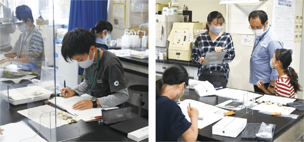 「アサリは大きくなるとハマグリになる?」の様子