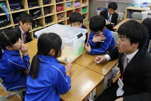秋の教科・領域等研究協議会