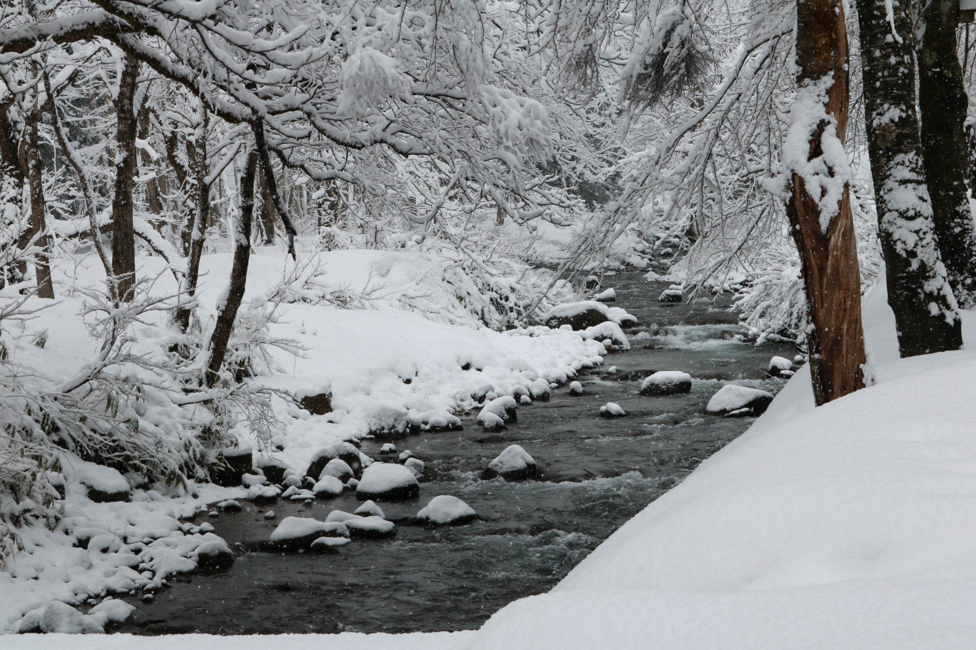 雪山実習（2019）