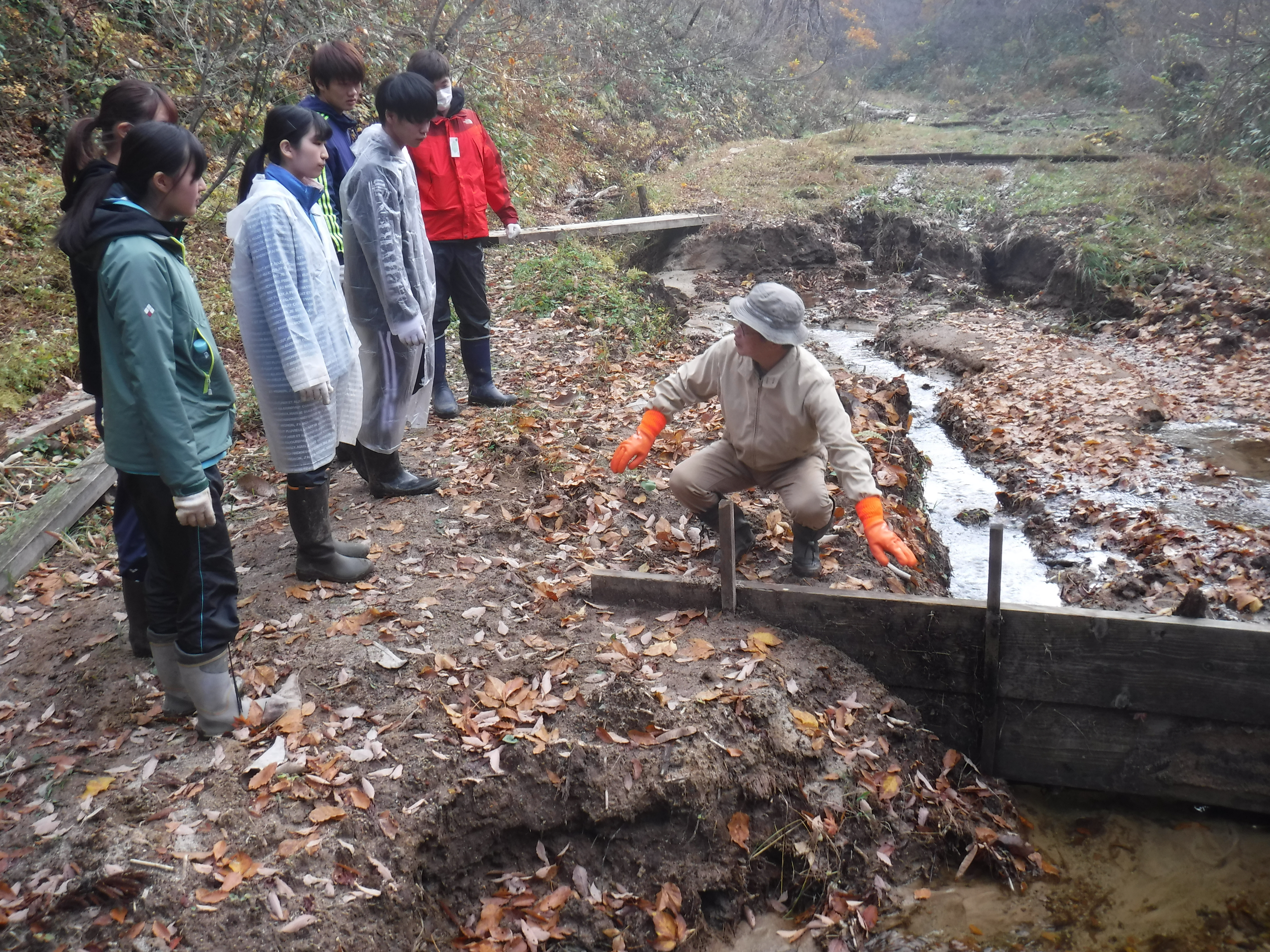 鮭川村での自然保護活動