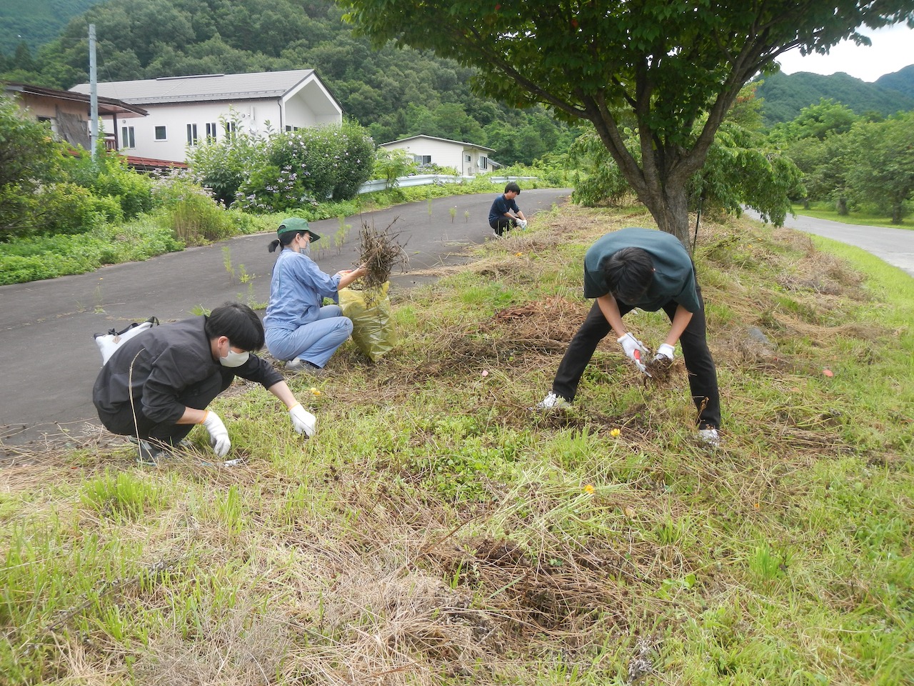 山形県の外来種の早期発見〜防除パッケージの構築